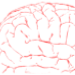 Neurological Medicine, P.A. Company logo